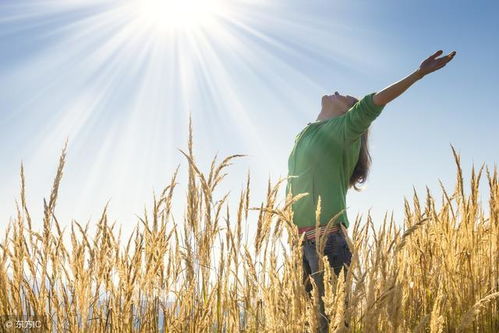 勵(lì)志古詩(shī)文60句 苔花如米小,也學(xué)牡丹開(kāi)