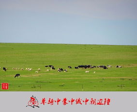 老驥伏櫪，志在千里 單騎穿越中蒙、中俄、中朝邊陲游記與攻略