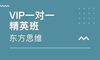 沈陽云集企業(yè)財(cái)務(wù)管理培訓(xùn)輔導(dǎo)班全面解析 排名與價(jià)值